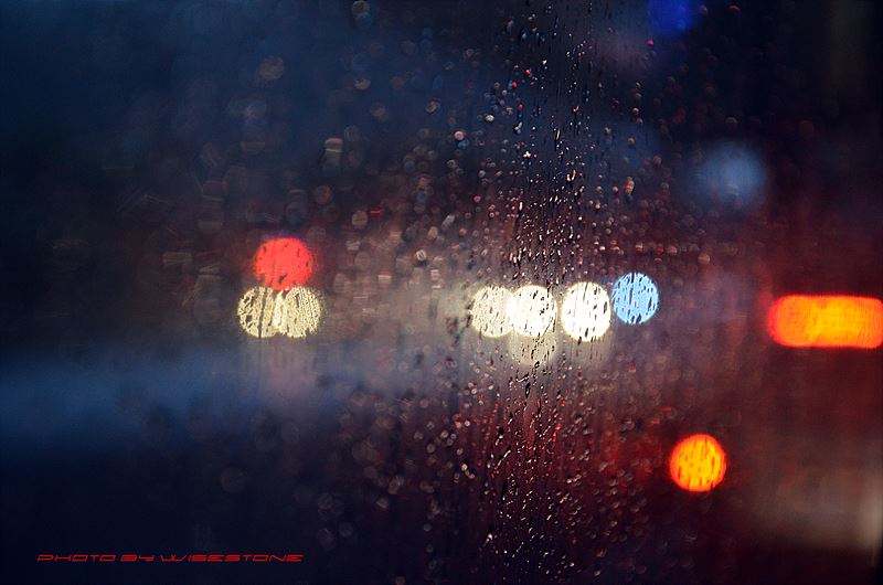 timg (3).jpg timg (3).jpg