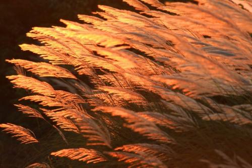 u=63038846,578074714&fm=26&gp=0.jpg u=63038846,578074714&fm=26&gp=0.jpg