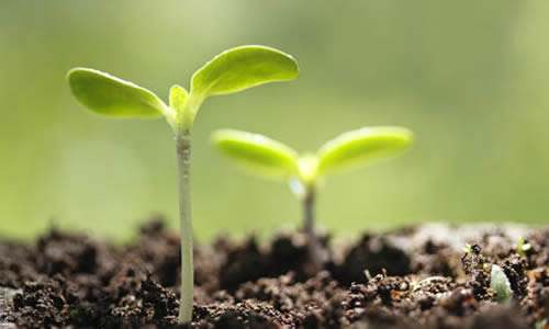 timg (4).jpg timg (4).jpg