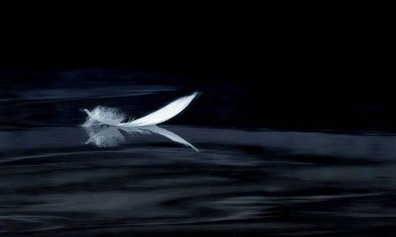 timg (4).jpg timg (4).jpg