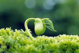 u=4076067298,2416711748&fm=15&gp=0.jpg u=4076067298,2416711748&fm=15&gp=0.jpg